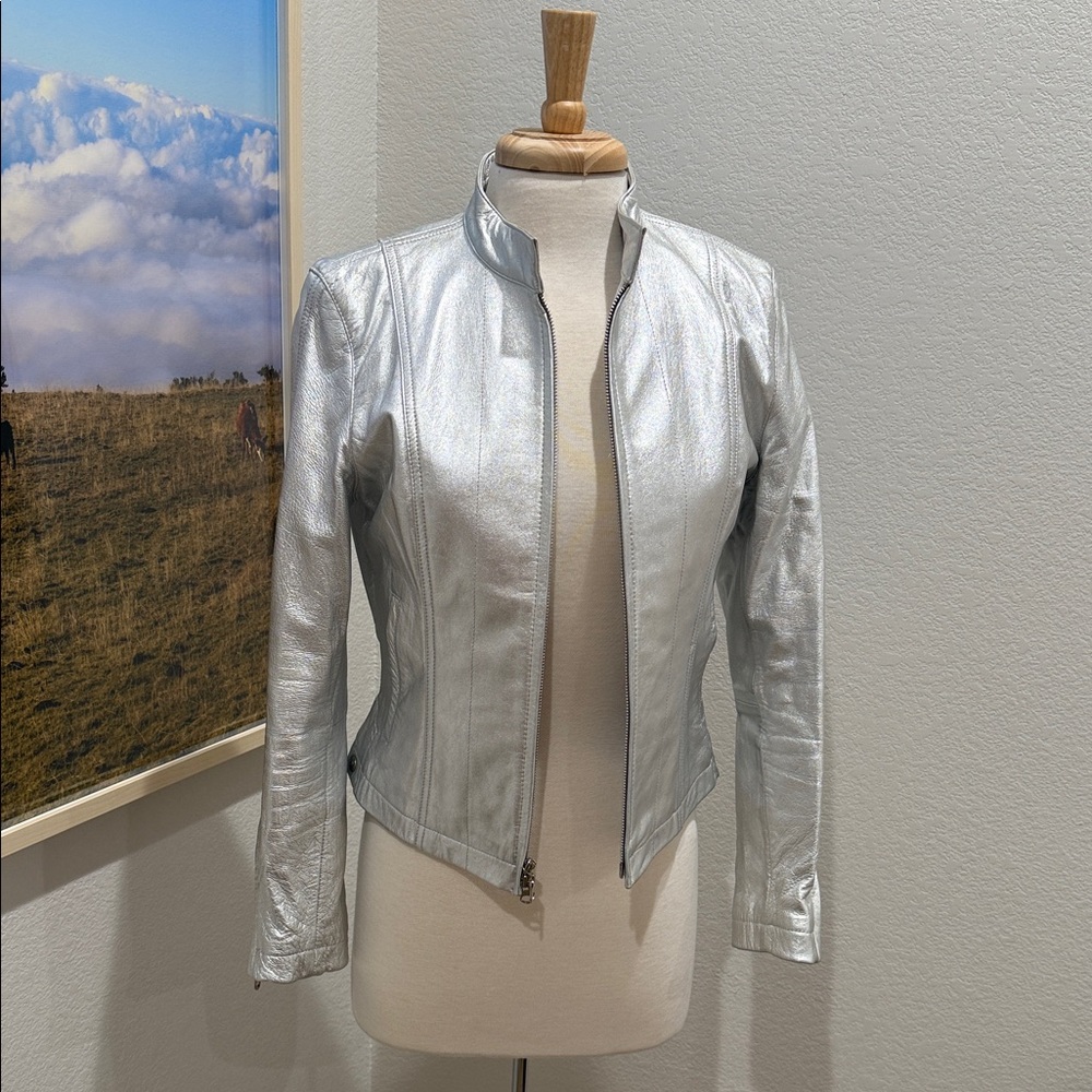 Wilsons Leather Metallic Silver Women's Jacket
